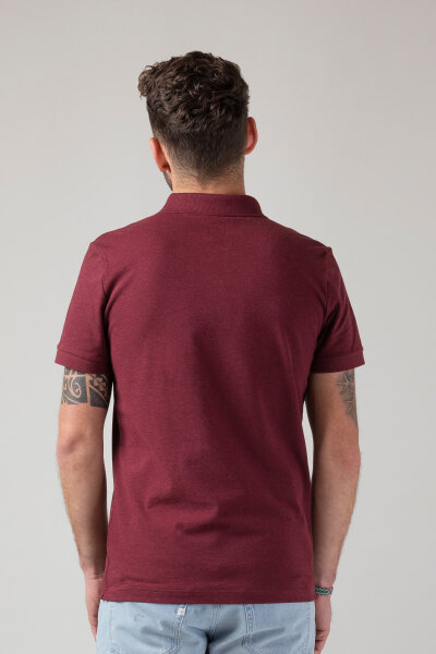 Basic Polo