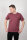 Bee Zeno T-Shirt