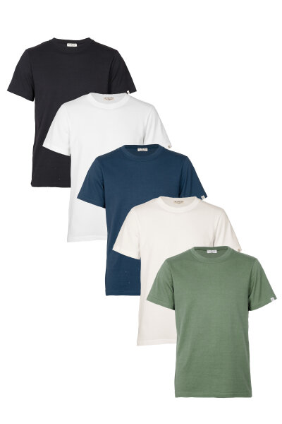 Basic T-Shirt SWISS EDITION 5er-Mix